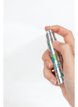 Spray Sexe Oral Menthe Haleine Fraîche 11gr Secret Play